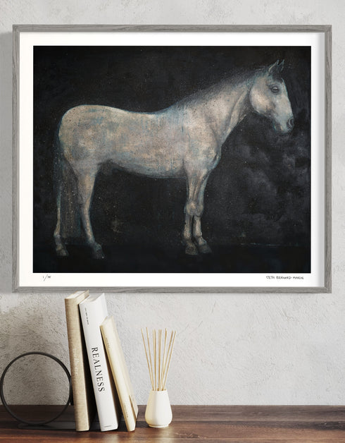 Horse | Limited Edition Prints